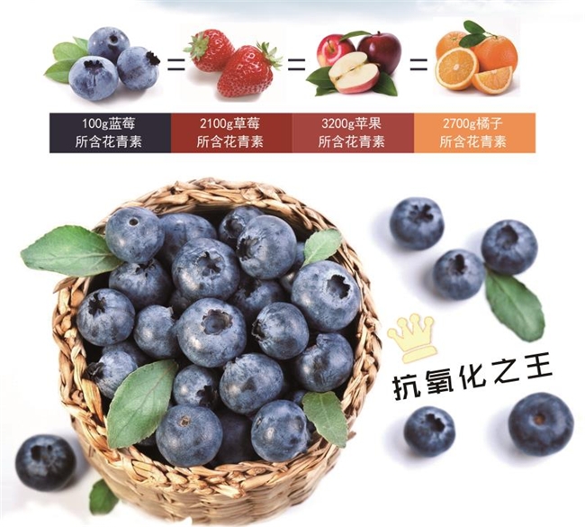 多彩苗宝：自有蓝莓生态种植果园，打造绿色健康好产品