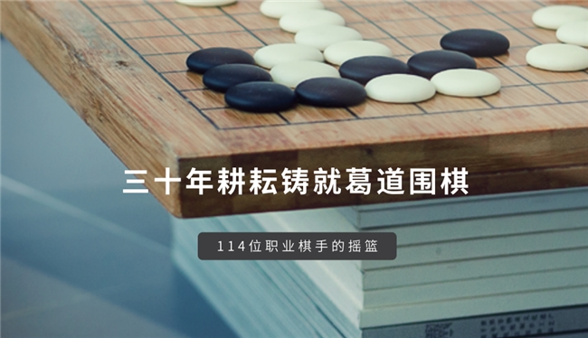 葛玉宏围棋道场：零基础轻松入门，一站式教育直达专业