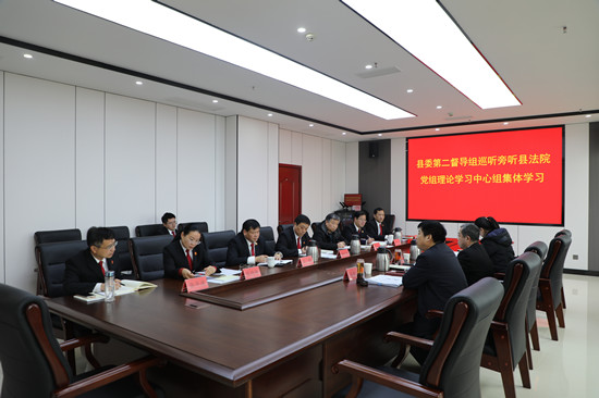 新野县委第二督导组巡听旁听县法院党组理论学习中心组集体学习|当前速递
