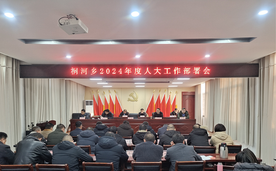唐河县桐河乡召开专题会议 研究部署2024年人大工作