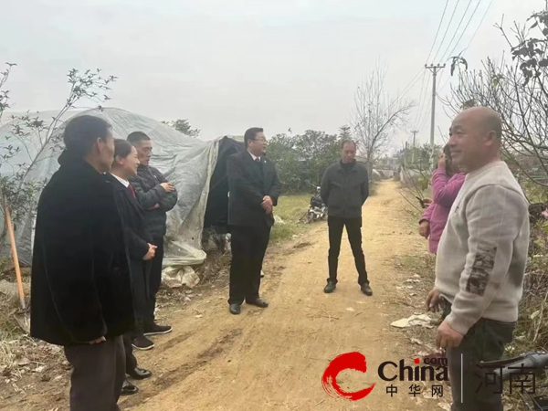 泌阳法院：香菇产业巡回法庭常态化走访推动从源头实现诉源减量