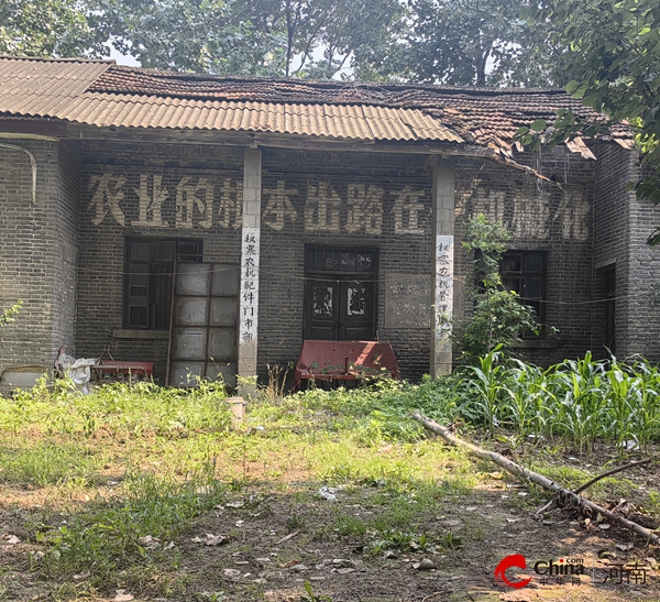 ​西平县文广旅局开展红色标语类革命文物专项调查
