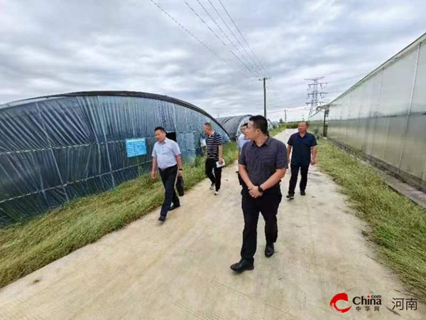 ​河南省农业农村厅调研指导西平县农业科技引领优势产业发展工作 世界热点评