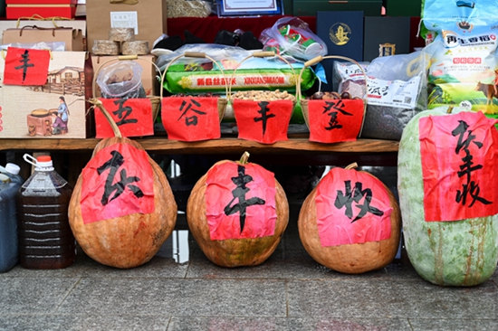 丰收时节喜洋洋 和美乡村人倍忙 新县2023年“中国农民丰收节”精彩纷呈
