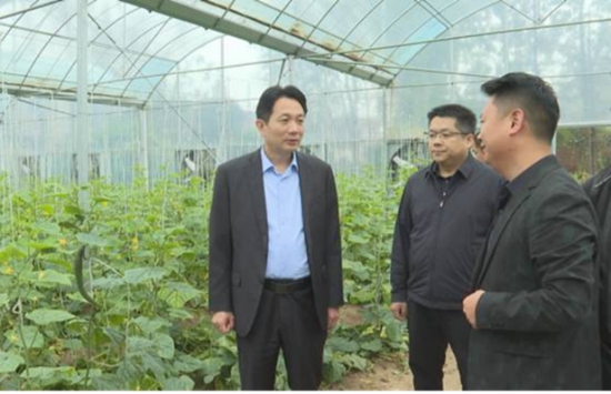 ​息县县政府代县长郑春到部分乡镇督导土地流转、高标准农田建设等工作