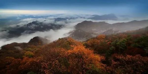 全国乡村旅游精品线路发布！商丘这条上榜