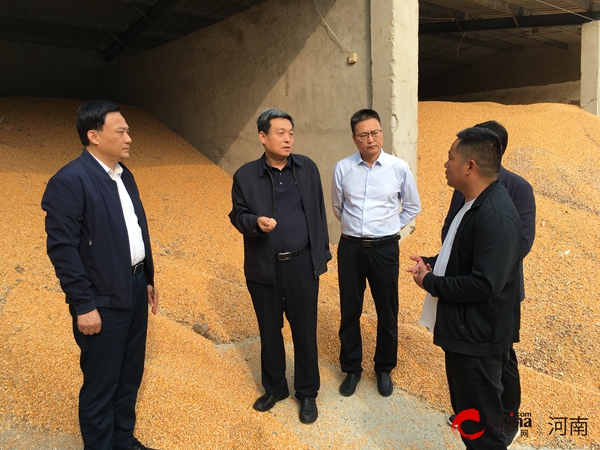 即时看！​河南省粮食和物资储备局副局长徐富勇到西平县调研秋粮收购情况