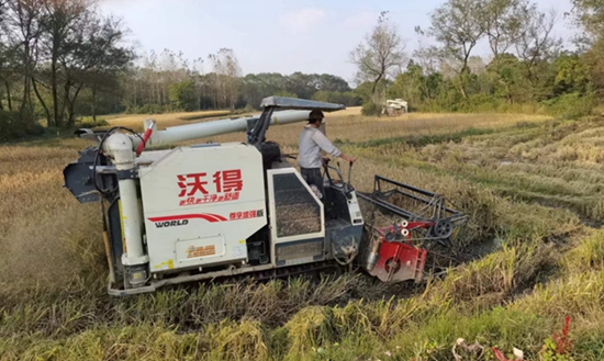 天天热点！​罗山县定远乡：天气晴好忙收获 颗粒归仓保丰收
