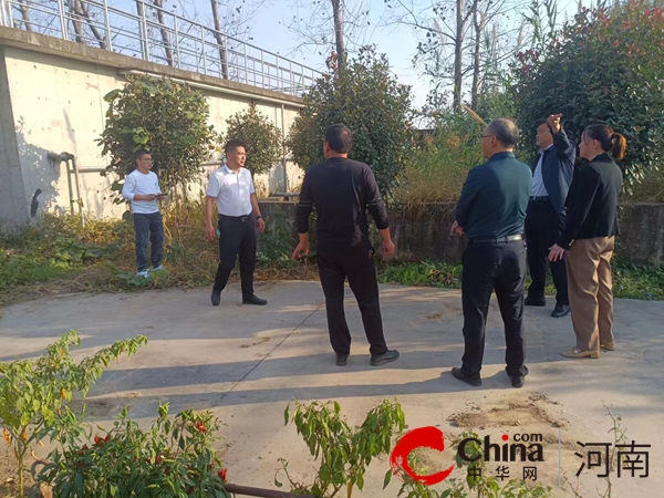 环球新资讯：驻马店市生态环境局遂平分局督导乡镇污水处理站运行和农村黑臭水体治理工作