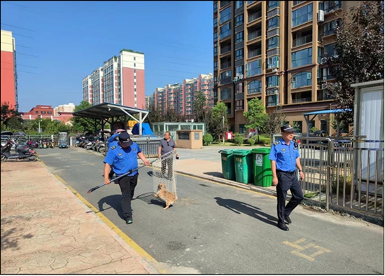 ​信阳市羊山新区城管局：加强犬只管理 建设美好城市