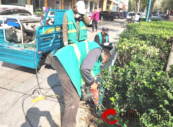 信息：驻马店开发区城市管理局：绿化设施精管理“小细节”彰显“大文明”