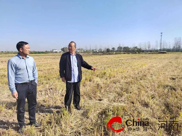 全球今亮点！确山县双河镇纪委：下沉一线 着力解决群众急难愁盼