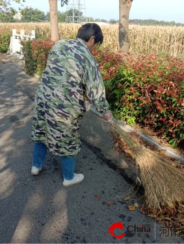 遂平县阳丰镇：重塑乡村面貌 迈向美好未来|当前播报