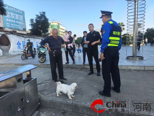 牵牢责任之绳 确山县城管局开展文明养犬专项治理行动