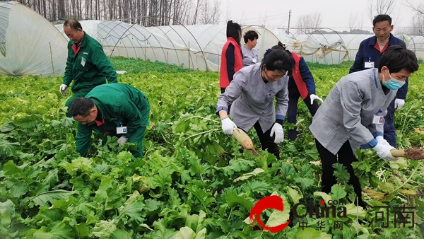 泌阳县花园街道：红色物业支农助农服务乡村振兴|焦点观察