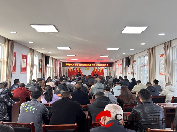 驻马店市驿城区蚁蜂镇开展贯彻落实全区组织工作会议精神推进会 天天观焦点