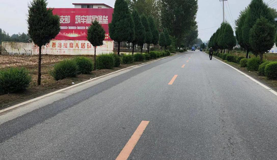 内乡县大桥乡建好“四好农村路”助力乡村发展迈上快车道_世界独家