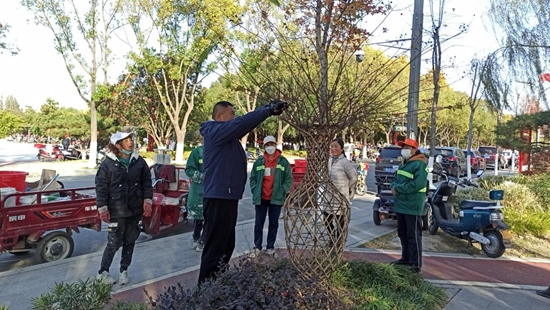 罗山县园林绿化中心：精细管理促提升 冬季园林养护正当时