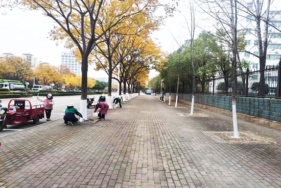 罗山县园林绿化中心：精细管理促提升 冬季园林养护正当时