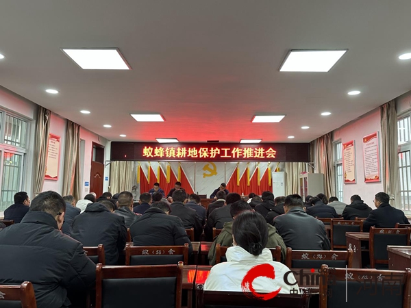 加压奋进 守土尽责——驻马店市驿城区蚁蜂镇召开耕地保护工作推进会
