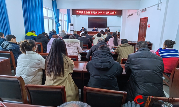 西平县应急管理局集中学习《中华人民共和国民法典》
