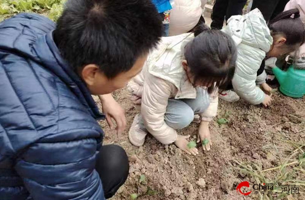 ​以“劳”树德 以“劳”育德——西平县重渠乡汪庄小学开展劳动教育