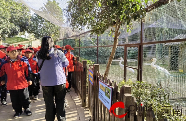“快乐于行 研学于心”——驻马店市第二十小学开展研学综合实践活动