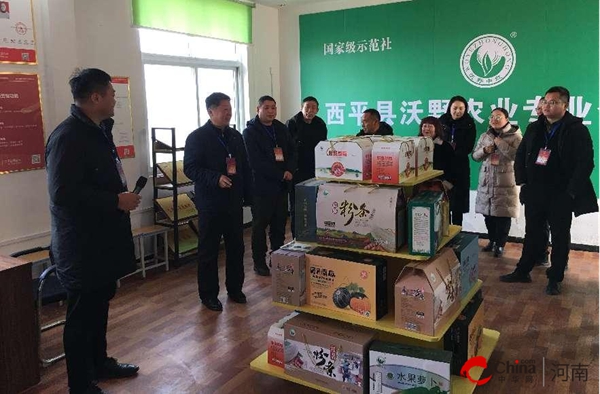 ​强监督 力促代表建议落地生根——西平县人大第五视察组对部分代表建议办理情况进行视察