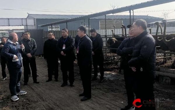 ​强监督 力促代表建议落地生根——西平县人大第五视察组对部分代表建议办理情况进行视察