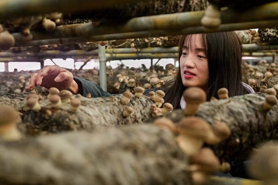 热推荐：息县90后“香菇支书”的乡村振兴梦
