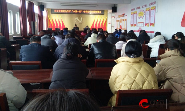 ​西平县乡镇开展安全生产“六查一打”专项行动有声有势|环球聚看点