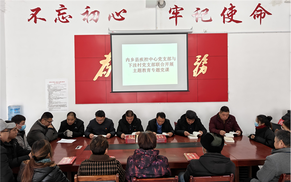 内乡县疾控中心党支部走进下洼村开展包联共建活动