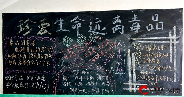 ​西平县专探小学开展禁毒教育系列活动