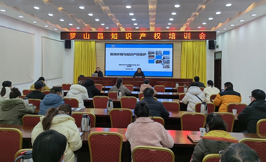 ​罗山县市场监管局举办知识产权培训会_全球聚看点
