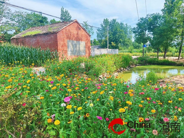 驻马店市驿城区蚁蜂镇：种好小花朵 扮靓大环境