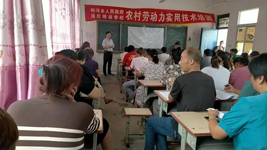 唐河县桐河乡：护航人才“培训路” 用心助企“促振兴”
