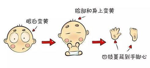 布格特避震婴儿车为什么被称作“新生儿出行伴侣”？