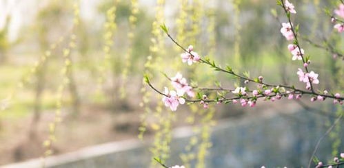 读张馨月《创造丰盛》有感：学会夸赞，展现人生大格局