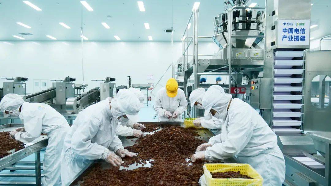 专注新疆大坚果，新疆核心产区前10%的原材料才能成为疆果果