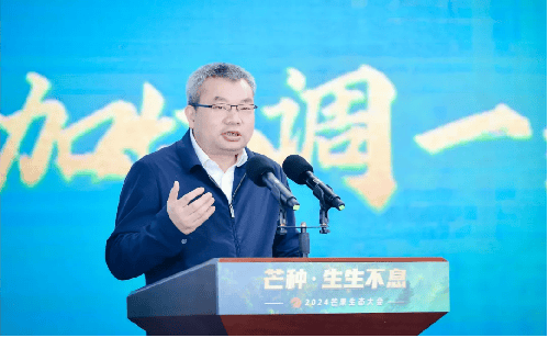 枝与枝相接、根与根相连，“芒种”孕育芒果新生态